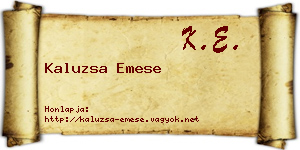 Kaluzsa Emese névjegykártya